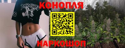гашик Обь