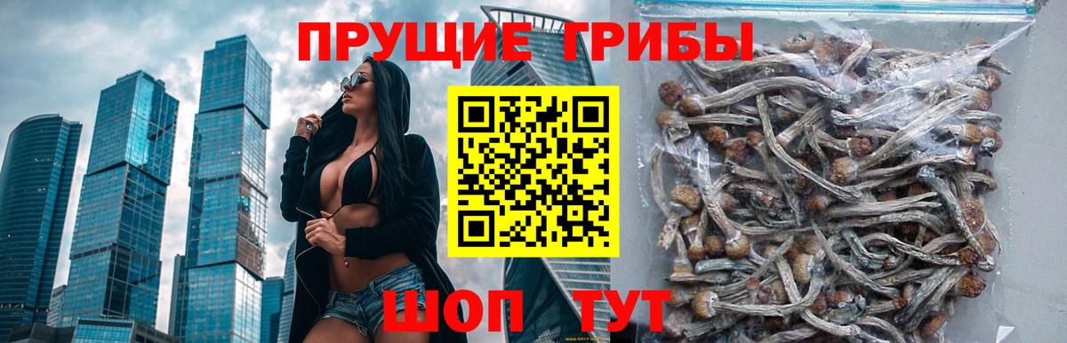 Галлюциногенные грибы ЛСД  Псилоцибиновые грибы прущие грибы  где продают наркотики  Вход с VPN  Симферополь 